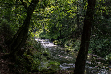 View from the wild Edmunds Gorge in Bohemian Switzerland near the town of Decin, Czech Republic
