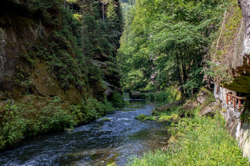 Obraz premium View from the wild Edmunds Gorge in Bohemian Switzerland near the town of Decin, Czech Republic