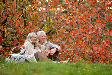 Portrait of senior couple having picnic outdoors