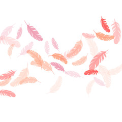 Falling feather elements soft vector design.