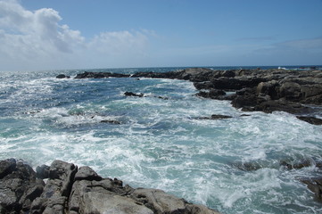 cote sauvage du croisic