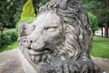 Fototapeta na wymiar Fragment, stone, antique, sculpture of a lion in the park.