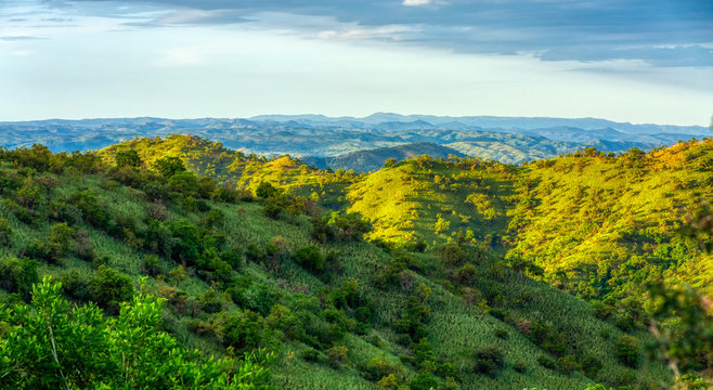 green panorama view To Mago National Park, Omo Valley, Omorati Etiopia, Africa nature and wilderness
