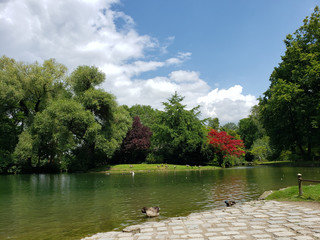 beautiful garden in the park