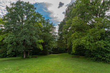 Blick in einen Park mit üppig grünen Bäumen