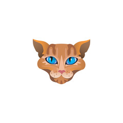 Golden red cats face with blue eyes vector illustration