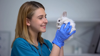 Young female vet playing with bunny, care and love to patient in animal hospital