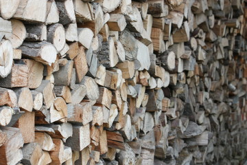 Kaminholz für den Winter