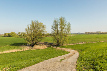 Fototapeta na wymiar Dutch polder landscape in spring with gate to meadows in floodplains along river dike with bicycle path in perspective against background with clear blue sky
