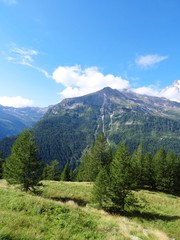 Fototapeta na wymiar The woods and the nature of the Anzasca valley, at the foot of Monte Rosa, near the town of Macugnaga, Italy - August 2019.