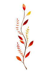 autumn yellow branch with leaves painted by watercolor isolated on white background