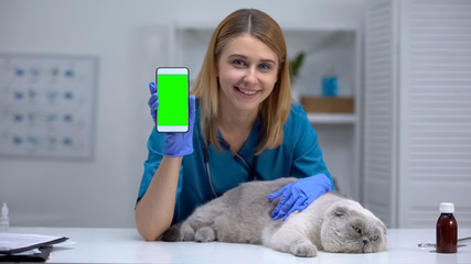 Smiling vet with lazy cat showing smartphone, pet health checkup record online