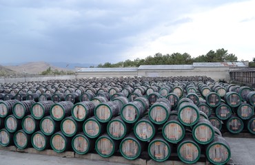 Koktebel winery. Old oak barrels for wine. Territory for storage.