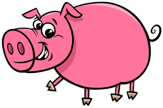 happy comic pig character cartoon illustration