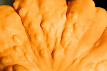 The image of a fragment of yellow squash