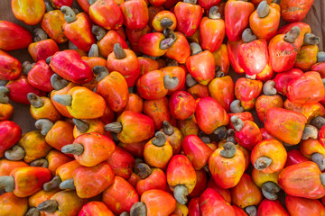 Ripe cashew fruits for sale at a fruit and vegetable market in Arembepe, Bahia - Brazil