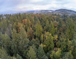 Fantastic foggy birds-eye's view of an incredible sunset at Duthie Hill Park in Issaquah, Washington 