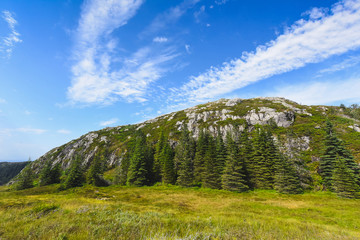 tourist hiking on a sunny summer day on the nature of mountain norway