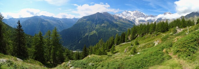 The "Monte Rosa" Massif seen from the woods and the pastures of the older valley, near the town of Macugnaga - August 2019. © Roberto