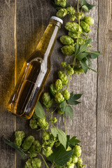 top view of beer in bottle with green hop on wooden table