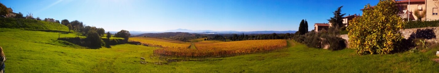 Fototapeta na wymiar Beautiful and colorful vineyards in Tuscany, Italy