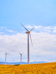 Fototapeta premium Wind turbines between an arid field and a blue sky background for copy space.