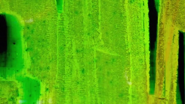 Looping colorful hand scratched & painted super8 / 8mm film for abstract retro background or green screen effect