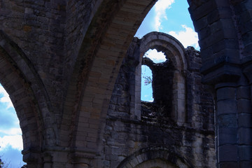Ancient arch and window ruins with flowers
