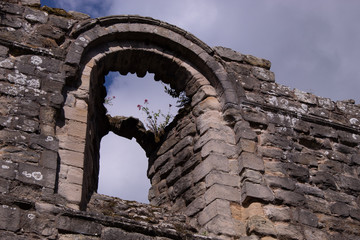 Ancient ruined window with flowers