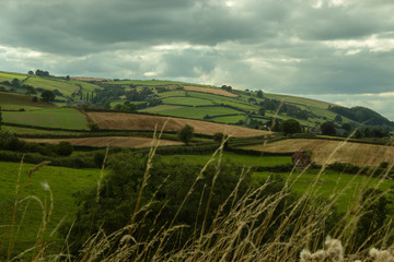Farm fields with golden wisps at front