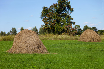 large haystacks on green lawn