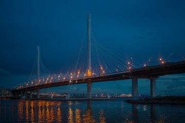 Fototapeta na wymiar Bridge in Saint Petersburg Russia