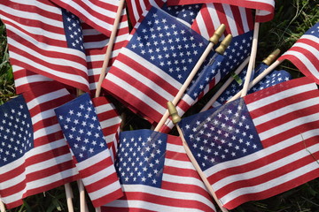 American Flags