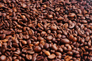Black coffee beans studio shot