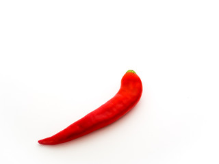 close-up of single fresh and healthy red chili pepper isolated on wh