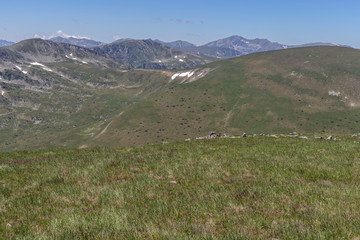 Fototapeta premium Landscape from Belmeken Peak, Rila mountain, Bulgaria