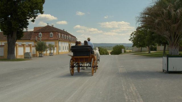 Horse Drawn Carriage Ride in the Country Side