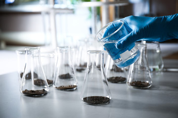 Scientist preparing soil extract at table, closeup. Laboratory research