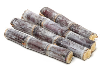Fototapeta premium Fresh Sugar cane on white background.