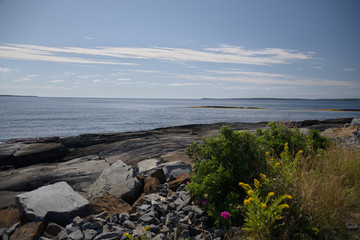 Nova Scotia_4723