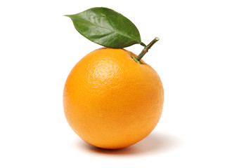 orange fruit with leaves on white background.