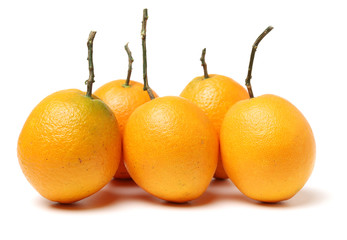 orange fruit with leaves on white background.