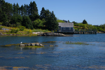 Nova Scotia_4847