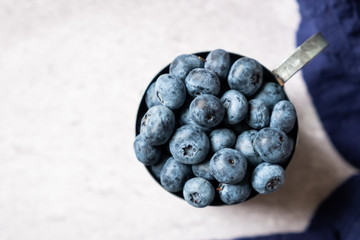 Myrtilles du jardin dans un pot en métal
