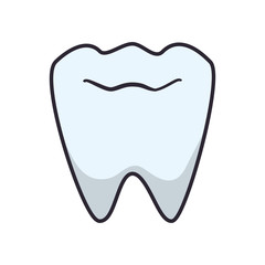 tooth human isolated icon vector illustration