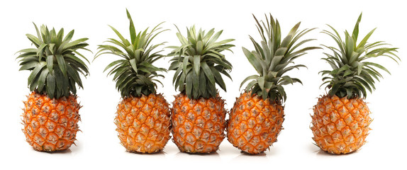 Fototapeta premium Pineapple. Gourmet, fruit