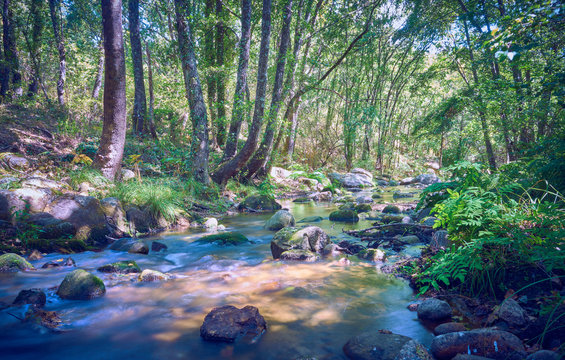 Water Running Over The River Stones