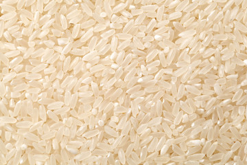 close up shot of the rice background