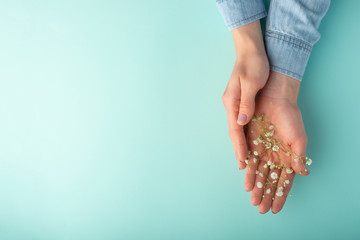 Obraz premium Flat lay. Tender female hands with white delicate flowers. On a turquoise background. Art photo, top view, horizontal photo.