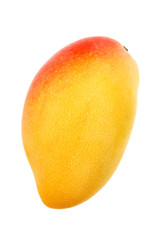 mango on white background